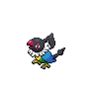 Chatot front sprite