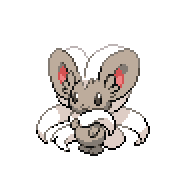 Cinccino front sprite