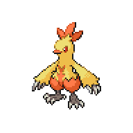 Combusken front sprite
