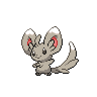 Minccino front sprite