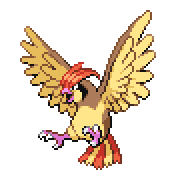 Pidgeotto front sprite