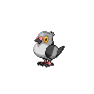 Pidove front sprite