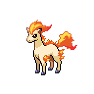 Ponyta front sprite