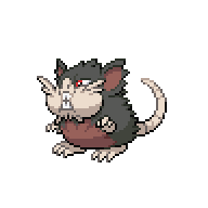 Raticate — Alolan front sprite