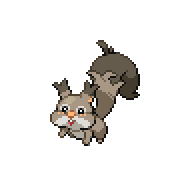 Skwovet front sprite