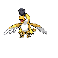 Squawkabilly — Yellow Plumage front sprite
