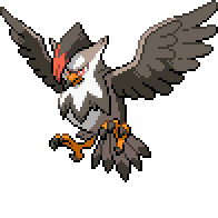 Staraptor front sprite