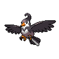 Staravia front sprite