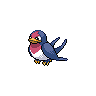 Taillow front sprite