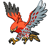 Talonflame front sprite
