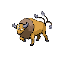 Tauros front sprite