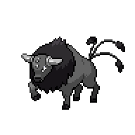 Tauros — Paldean (Combat Breed) front sprite