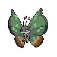 Vivillon — Jungle Pattern front sprite