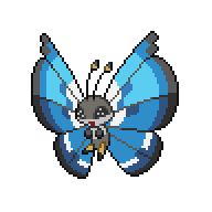 Vivillon — Marine Pattern front sprite