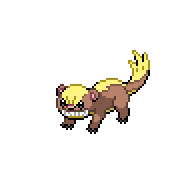 Yungoos front sprite
